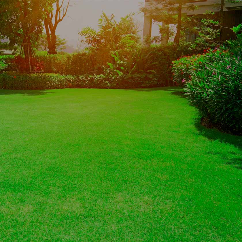 Hadzilux paysagiste menu