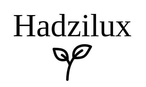 Logo Hadzilux